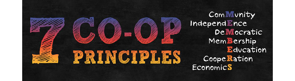 7 co-op principles